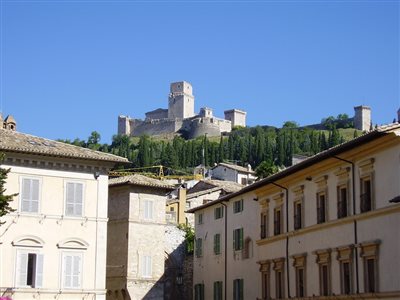 PI P8260059