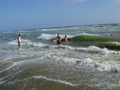 PI P8280458
