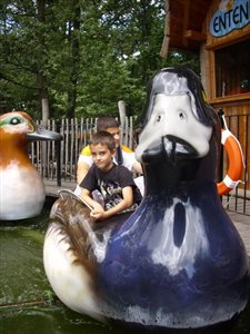 IMG 2745