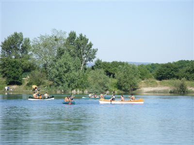 SDC10229