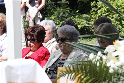img 1976 resize