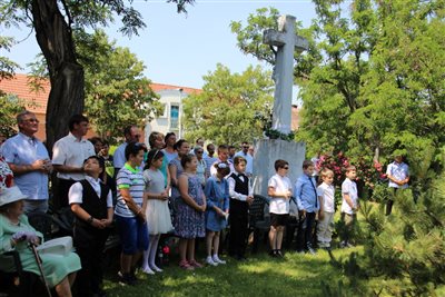 img 9517 resize