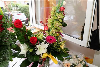 img 0585 resize