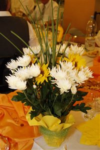 mg 8207 resize