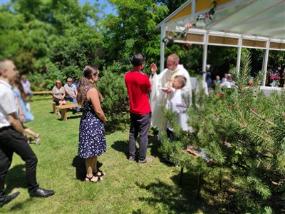 img 20220612 115244 resize