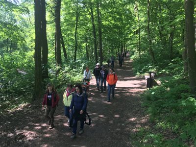 img 7286