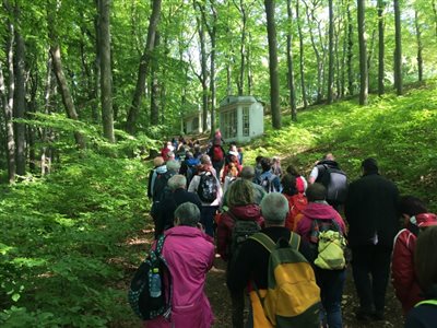 img 7364