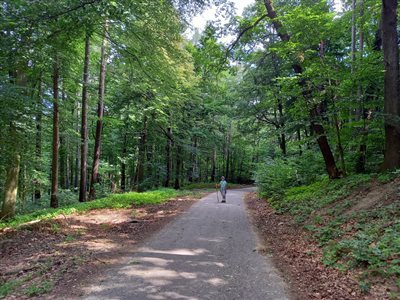 20220702 101544 resize