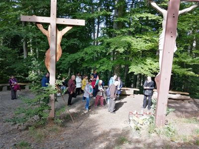 img 20231007 132709