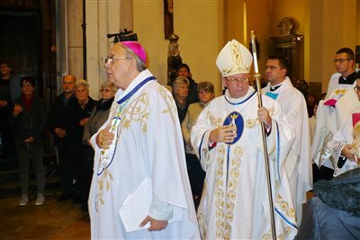 p1130163