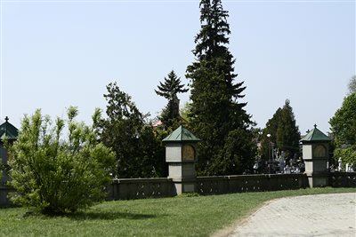 IMG 9750 ozs