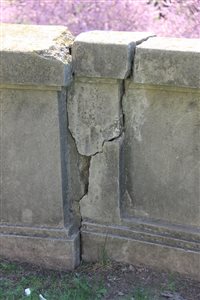 img 6014 resize