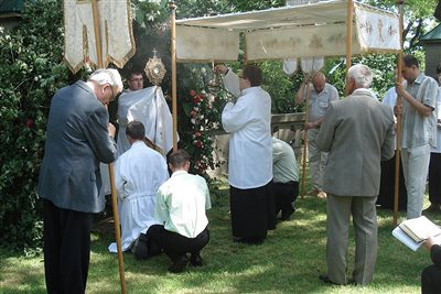UrnapiKormenet Szenc OZS29
