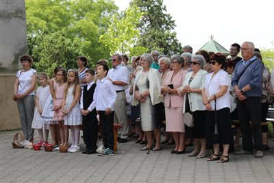 img 7062 resize