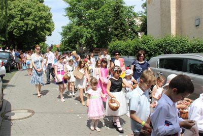 img 7108 resize