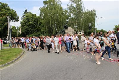 img 7143 resize