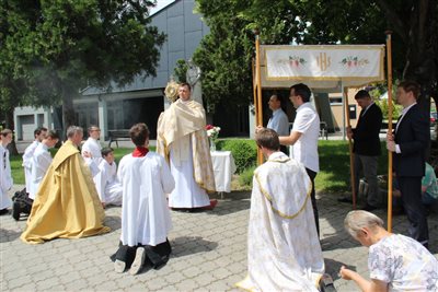 img 7262 resize