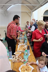 img 5449 resize