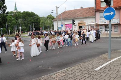 img 7946 resize