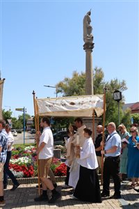 img 1353 resize