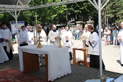 img 1383 resize