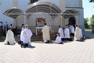 img 1391 resize