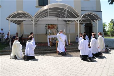 img 1395 resize