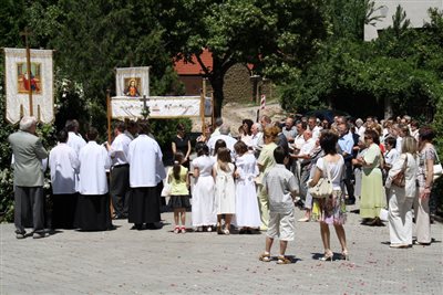 IMG 2484 resize