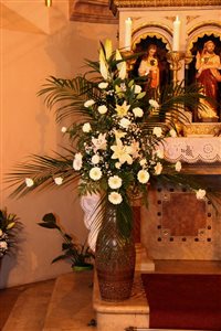 img 0987 resize