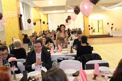 img 3031 resize