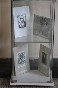 img 7496