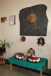 img 7531