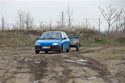 mg 7005