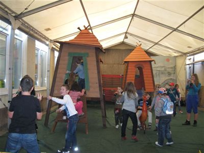 IMG 3913