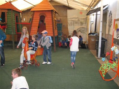 IMG 3914