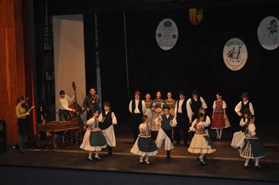 dsc 0146 resize