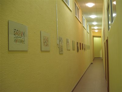 DSC03343