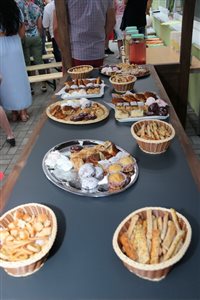 img 2502 resize