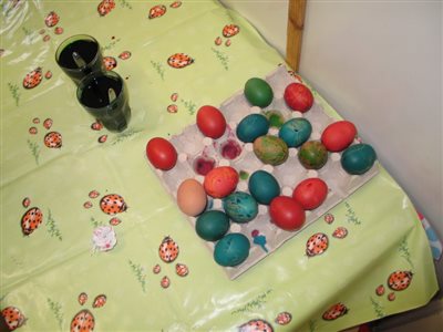 img 0026 resize