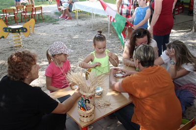 img 7941 resize