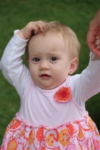 img 8209 resize