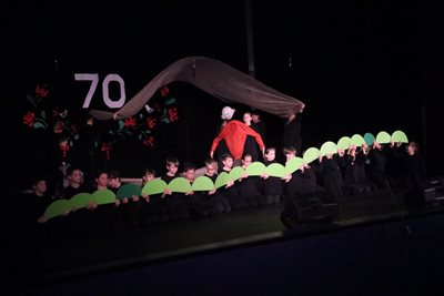 ovoda 70 168