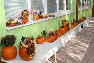 img 1954 resize