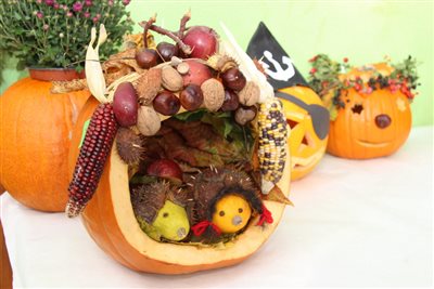 img 1955 resize