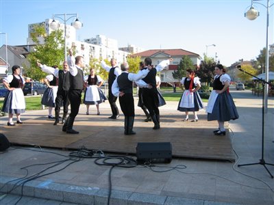 IMG 8302 resize