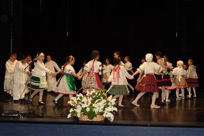 img 0081 resize
