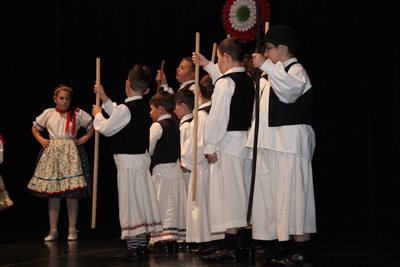 img 3695 resize