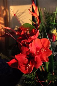 img 4631 resize