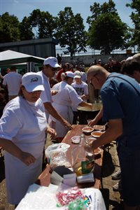 IMG 4454