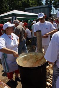 IMG 4457